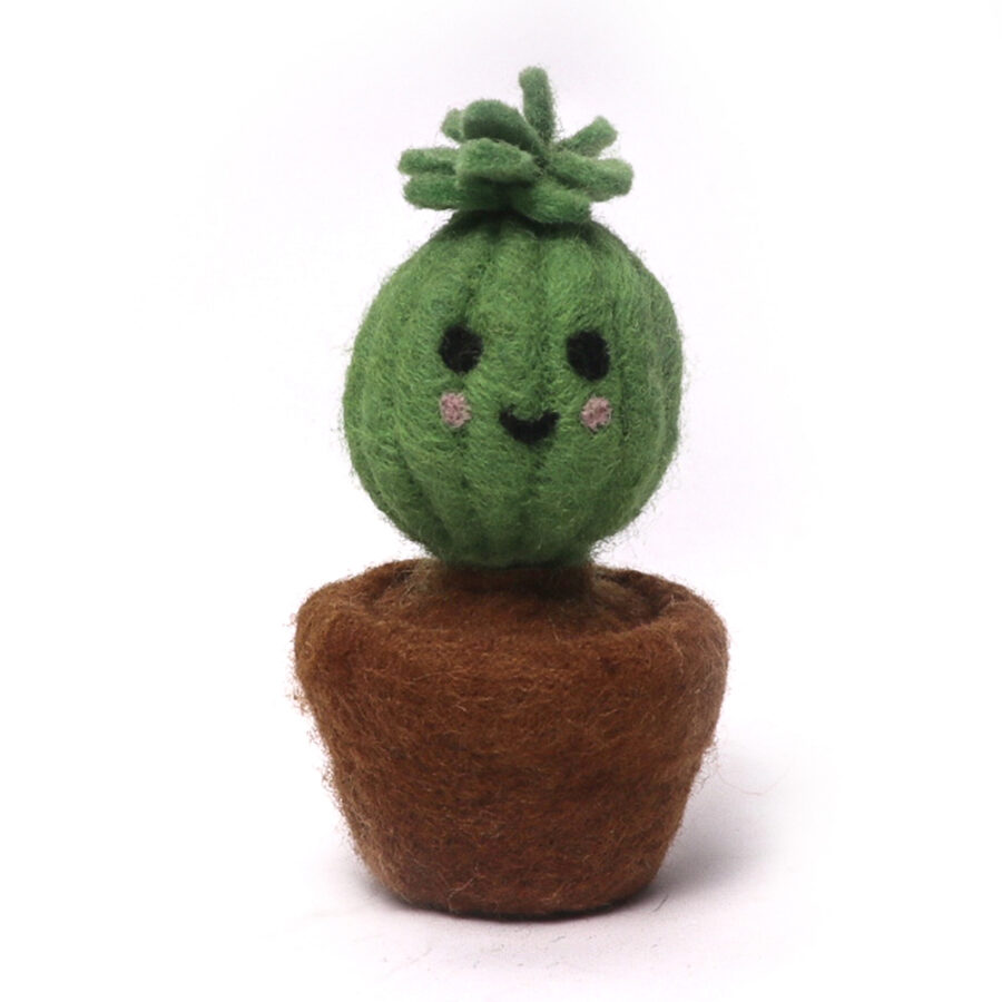 Handmade Felt Cactus in Pot – Cute Head Shape Cactus with Eyes, Wool Plant Decor, Funny Mini Succulent Gift, Desk Decoration